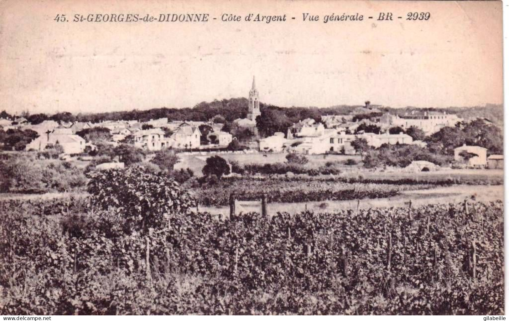 17 - Charente Maritime -  SAINT GEORGES De DIDONNE -  Vue Generale - Saint-Georges-de-Didonne