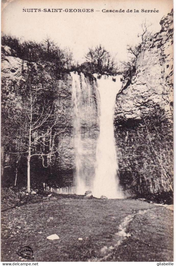 21 - Cote D Or  - NUITS SAINT GEORGES - Cascade  De La Serrée - Nuits Saint Georges