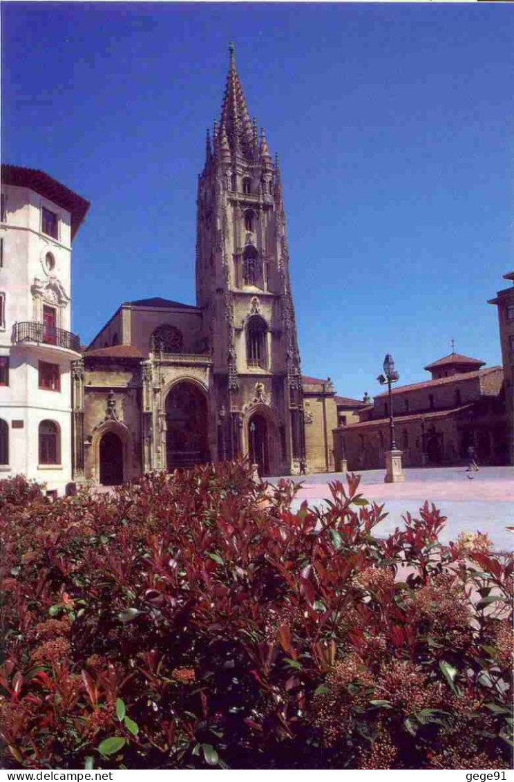 Oviedo - La Cathédrale - Eglises Et Cathédrales
