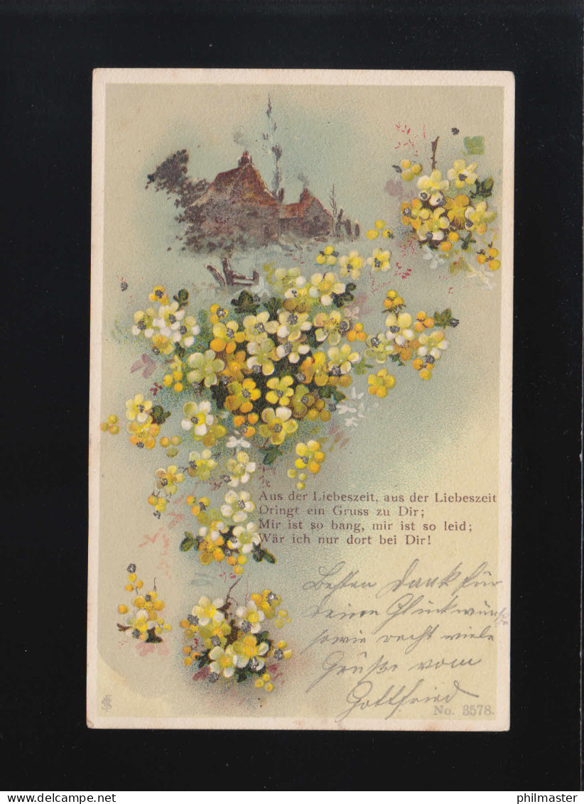 Gelbe Blumen Aus Der Liebeszeit Bischofsreut /Freyung /Stubenberg 10.+11.11.1900 - Hold To Light