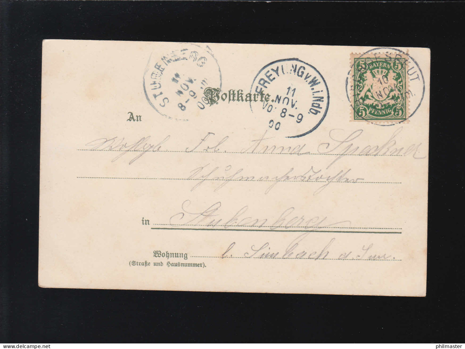 Gelbe Blumen Aus Der Liebeszeit Bischofsreut /Freyung /Stubenberg 10.+11.11.1900 - Hold To Light