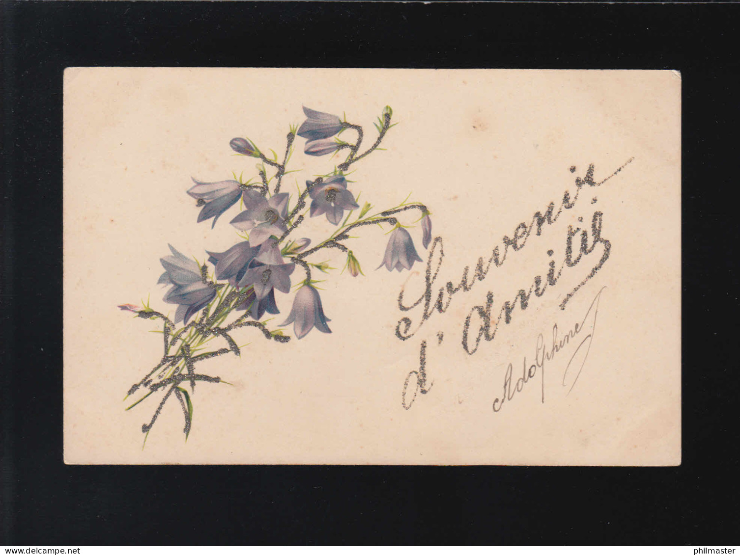 Strauß Glockenblumen Souvenir D'amitie, Ully-Saint-Georges /Creil 13.3.1904 - Contre La Lumière