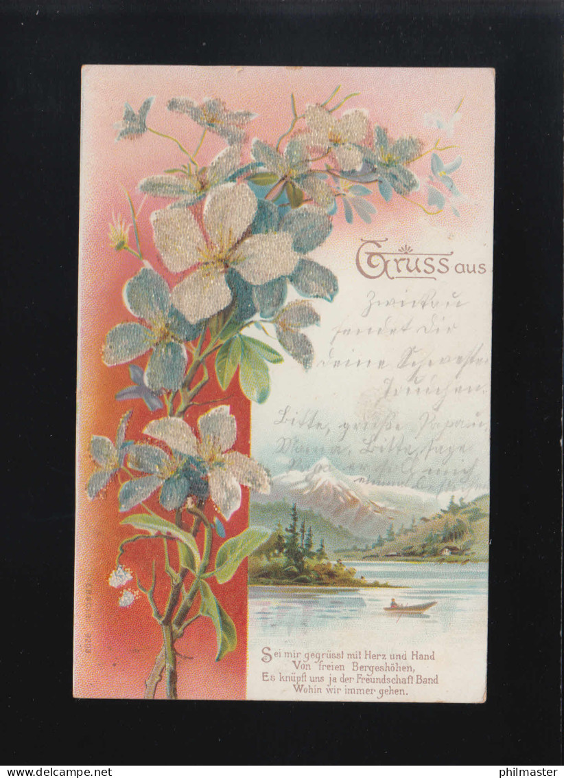 Blütenzweig Alpensee Sei Mir Gegrüsst Mit Herz Und Hand Zwickau/Merane 14.8.1900 - Contre La Lumière