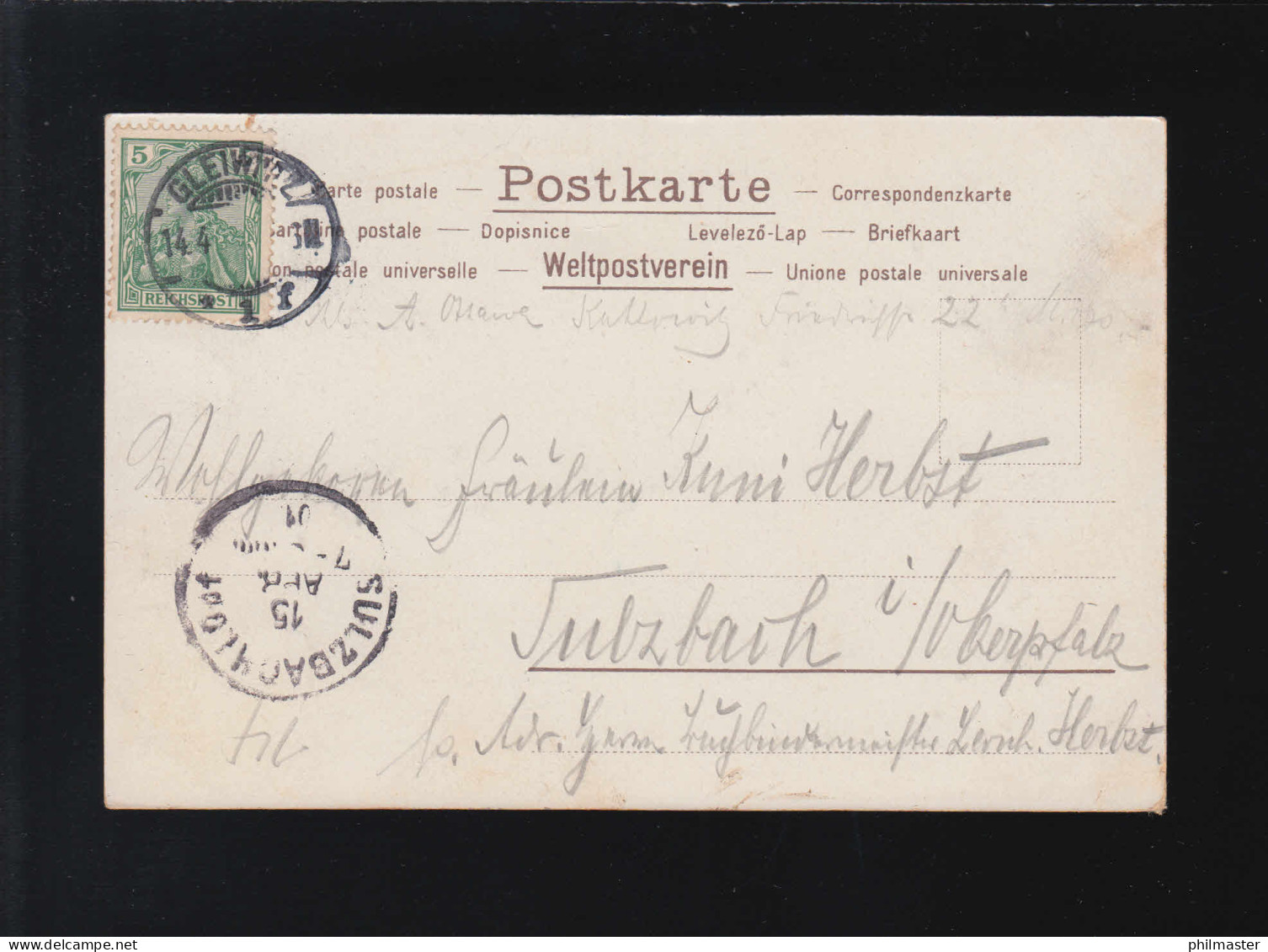 Edelweiss, So Ungetrübt Wie Diese Blüthensterne Gleiwitz /Sulzbach 14.+15.4.1901 - Hold To Light
