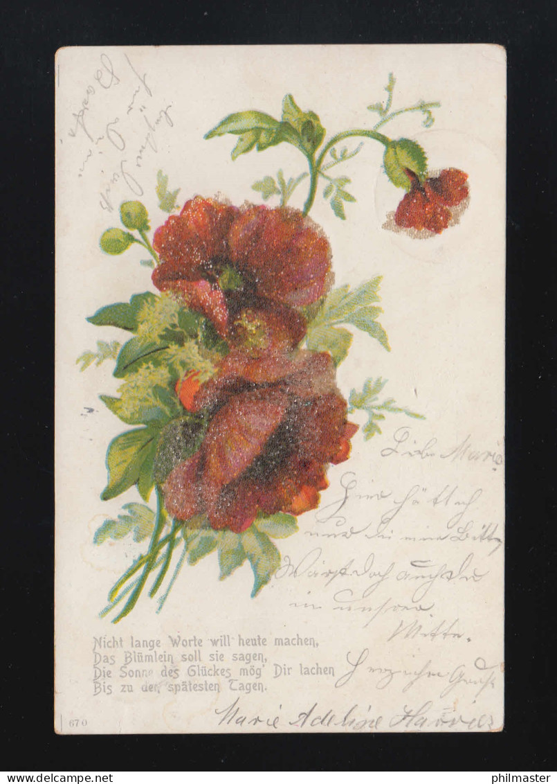 Rote Blumen Blüten Nicht Lange Worte Will Heute Machen, Hoya/Magelsen 17.5.1901 - Halt Gegen Das Licht/Durchscheink.
