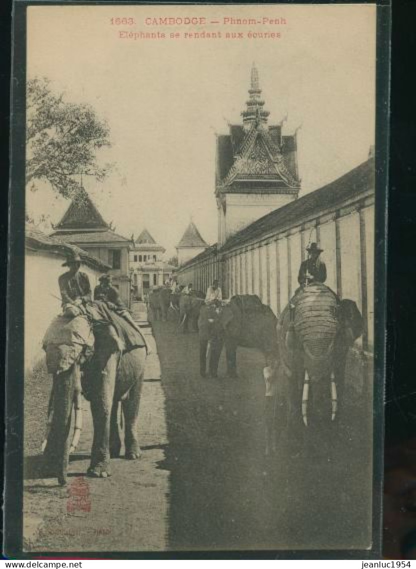 CAMBODGE PHNOM PENCH ELEPHANTS          ( MES PHOTOS NE SONT PAS JAUNES ) - Cambodge