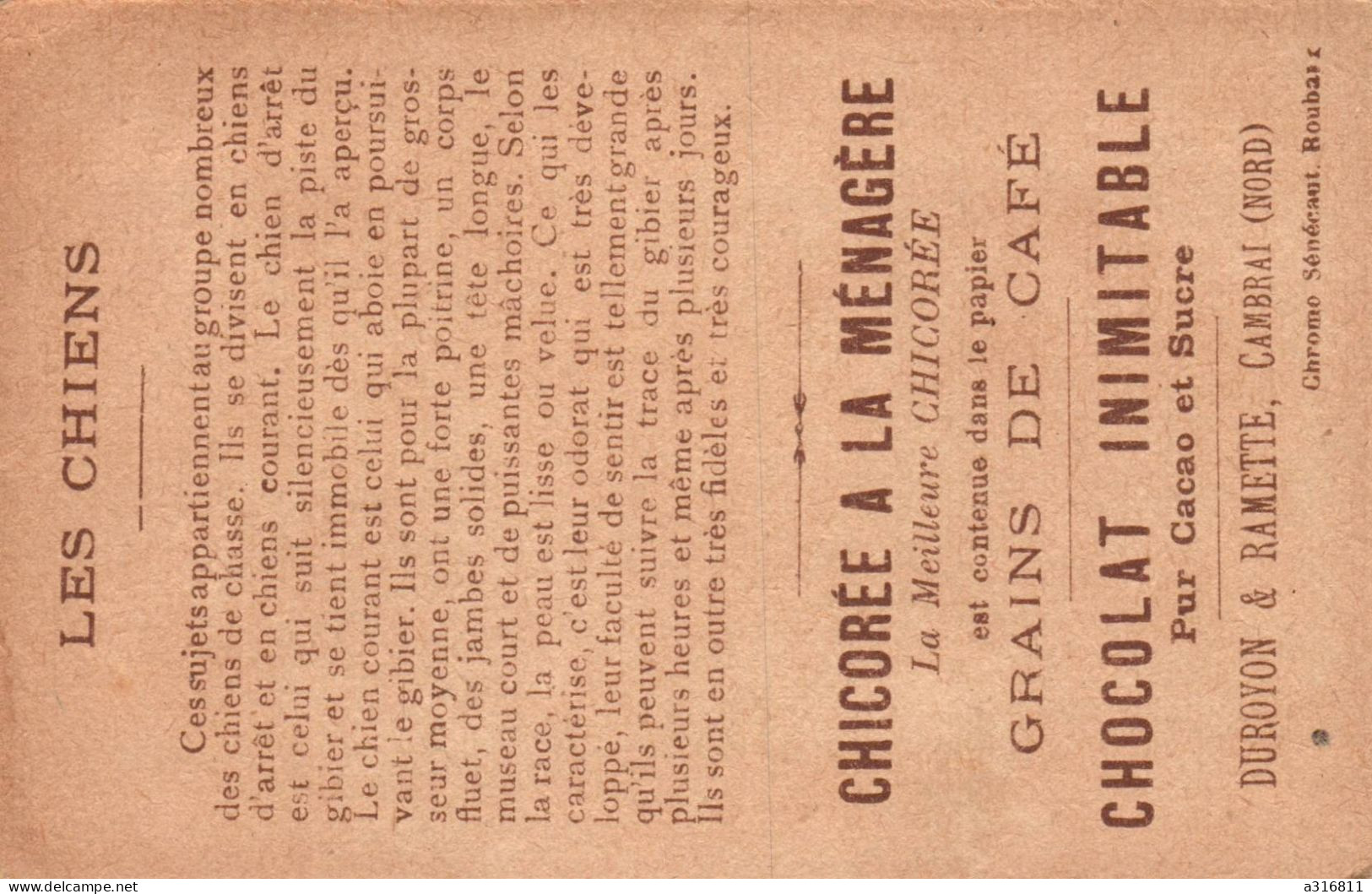 Chromo Chicorée A La Ménagère Les Chiens - Té & Café