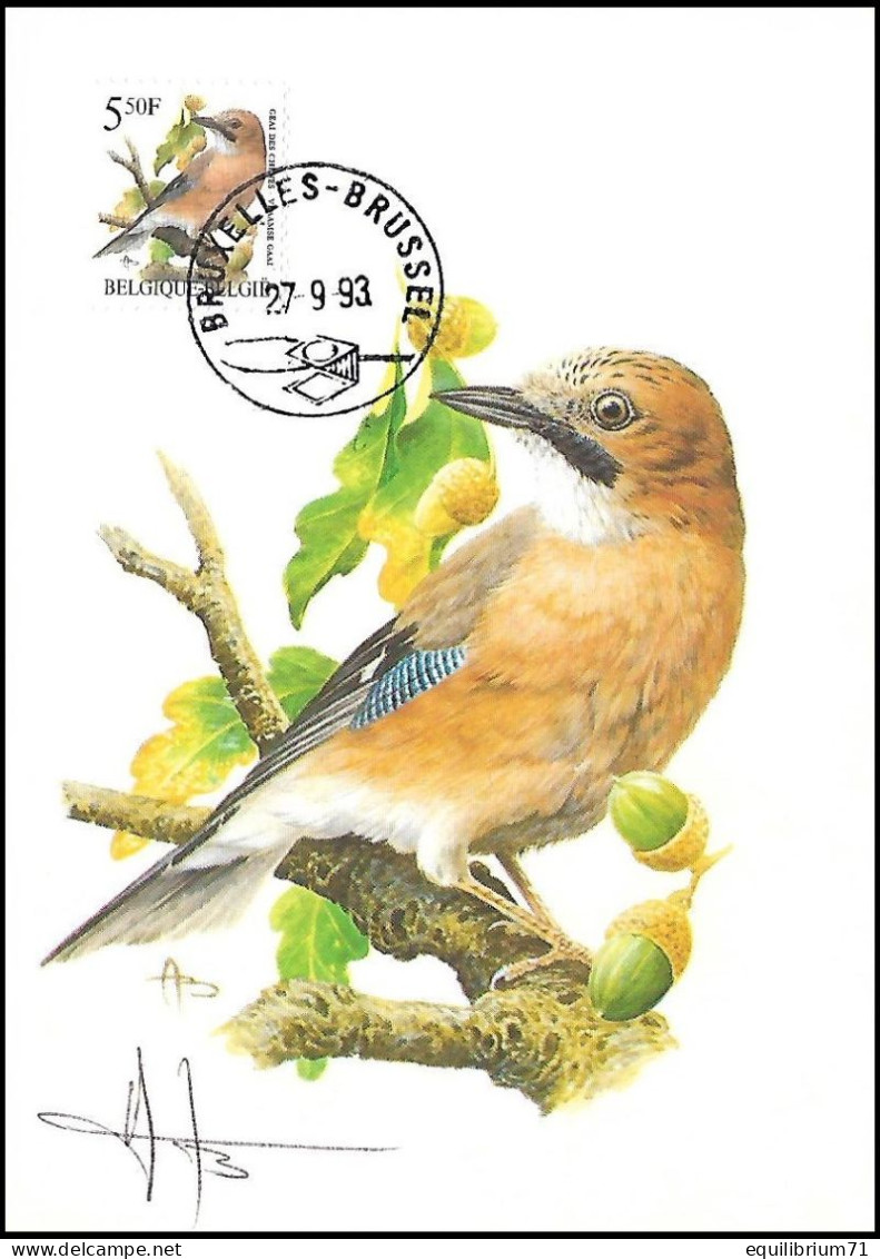 CM/MK° - 2526 - Geai Des Chênes / Eiken Gaai / Eichenhäher / Oak Jay - BXL-BSL - 27-9-93 - SIGNÉ/GETEKEND - BUZIN - 1985-.. Vogels (Buzin)