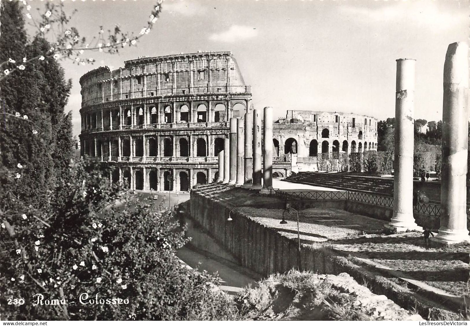 ITALIE - Roma - Colosseo - Vue De L'extérieure - Edizione Belvedere - Carte Postale Ancienne - Kolosseum