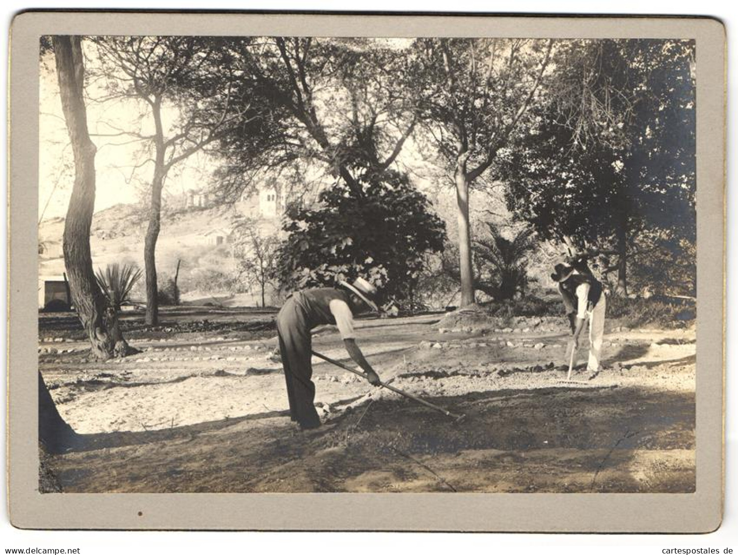 Photo Photographe Inconnu,  Vue De Windhuk / Windhoek, DSWA, Eingeborene Afrikaner Bei Der Le Jardinpflege Des Kasino  - Guerre, Militaire