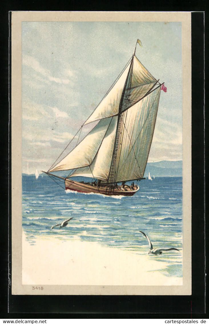 Lithographie Segelboot Und Möwen  - Sailing