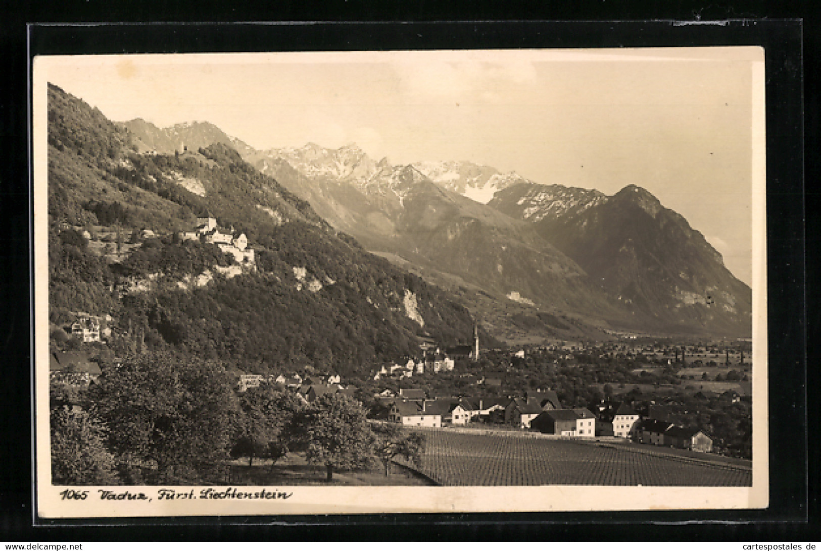 AK Vaduz, Ortspanorama Mit Schlossblick  - Liechtenstein