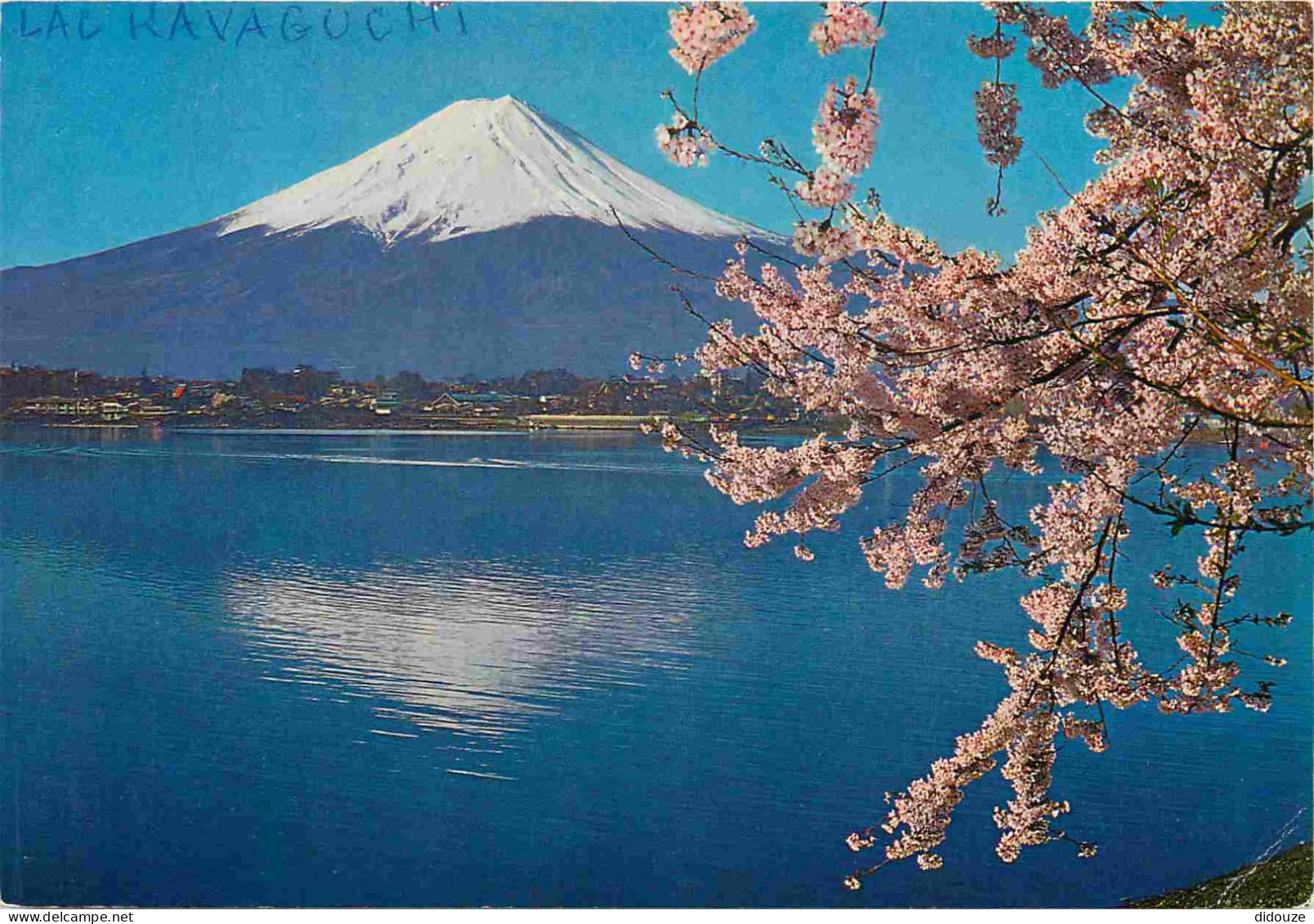 Japon - Mont Fuji - Lake Kawaguchi And Cherry Blossoms - Nippon - Japan - CPM - Voir Scans Recto-Verso - Andere & Zonder Classificatie