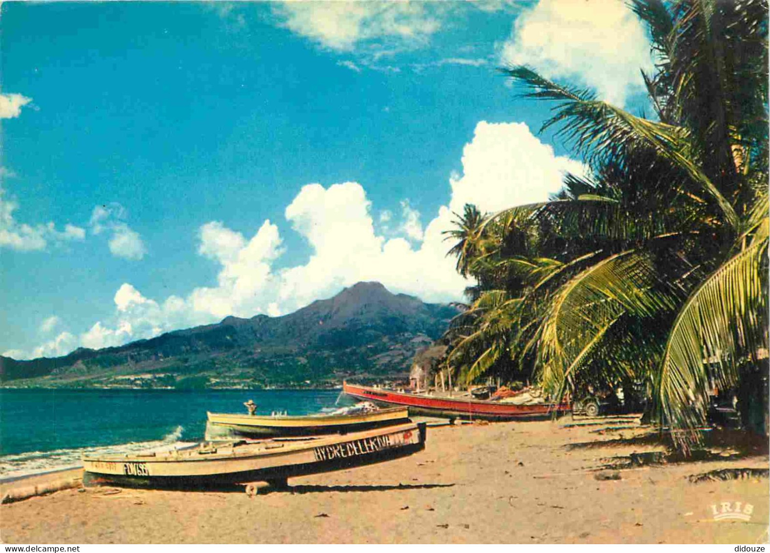 Martinique - Le Carbet - Carbet-Plage - Vue Sur La Montagne Pelée - CPM - Voir Scans Recto-Verso - Andere & Zonder Classificatie