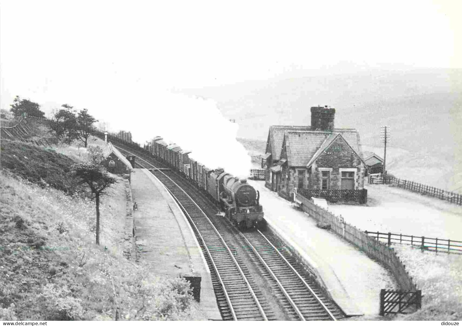 Trains - Gares Avec Trains - Royal Scot Class No. 46118 With A Northbound Freight Train Passing Dent Station On 27th. Ju - Gares - Avec Trains