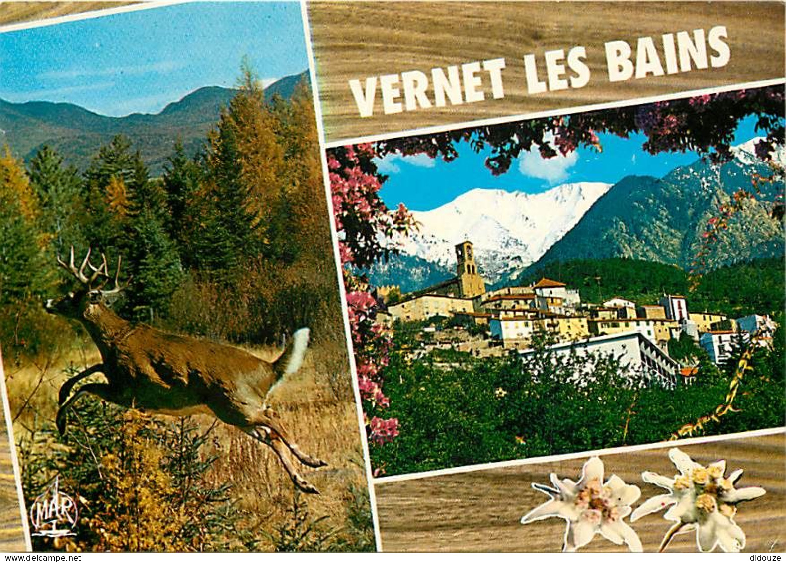 66 - Vernet Les Bains - Multivues - Chevreuil - CPM - Voir Scans Recto-Verso - Sonstige & Ohne Zuordnung