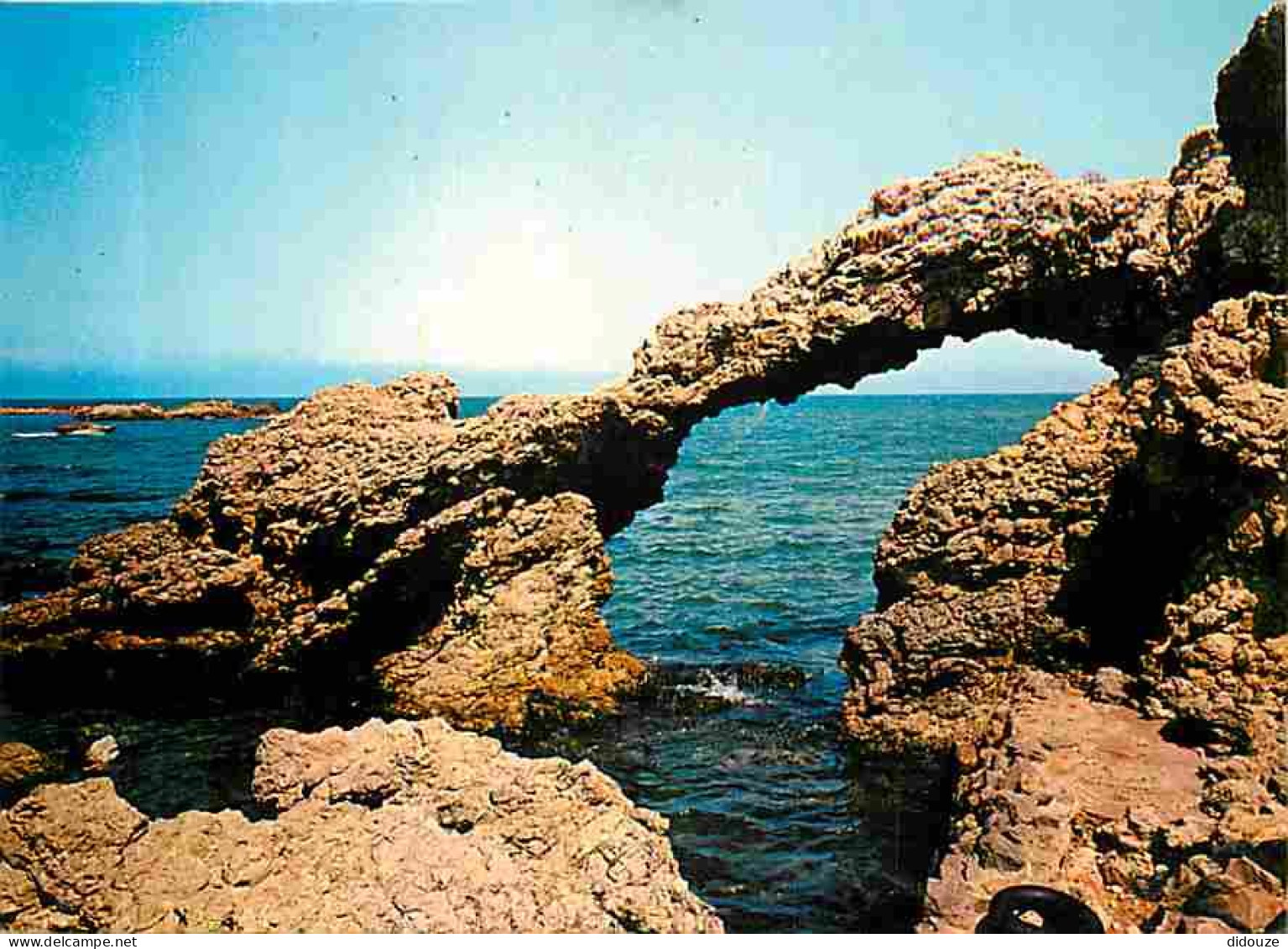 Espagne - Costa Brava - La Escala - CPM - Voir Scans Recto-Verso - Gerona