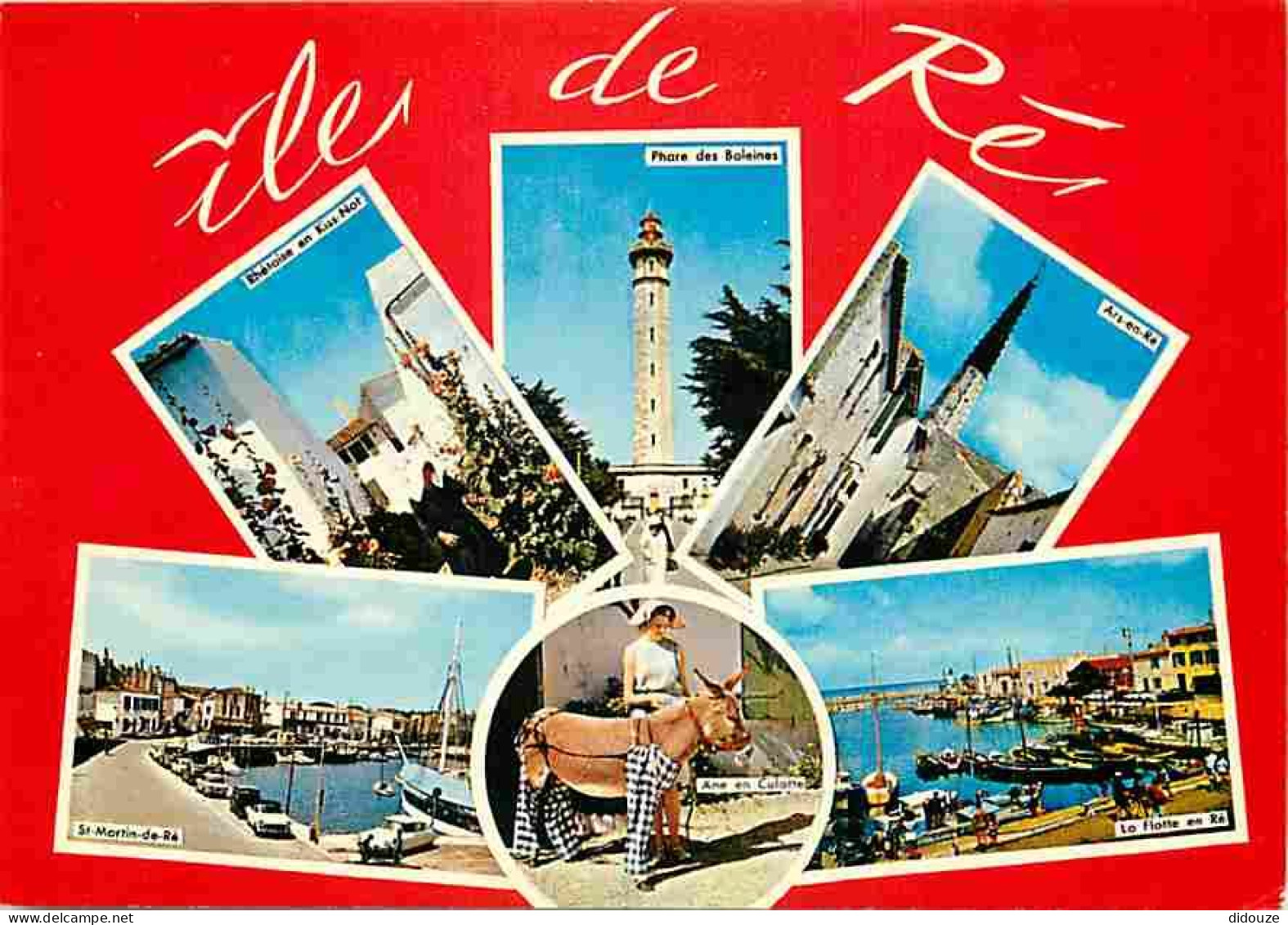 17 - Ile De Ré - Multivues - Automobiles - Anes En Culottes - CPM - Voir Scans Recto-Verso - Ile De Ré