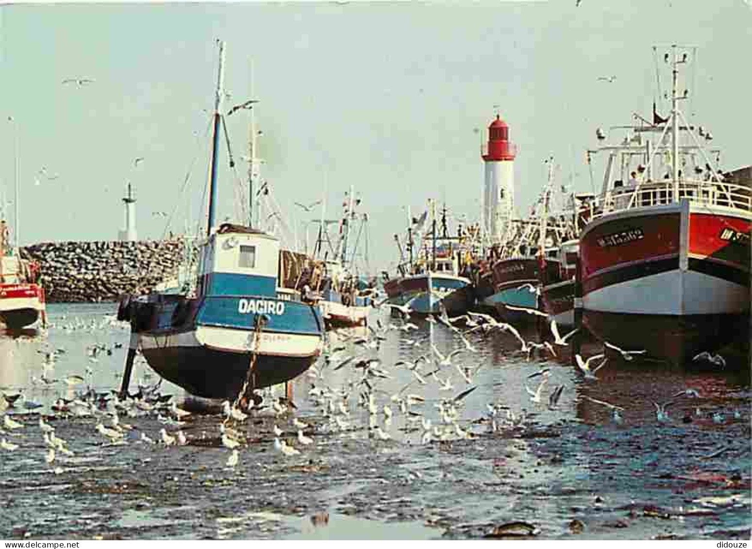 17 - Ile D'Oléron - Le Port De La Cotinière - Marée Basse - Bateaux - Mouettes - CPM - Voir Scans Recto-Verso - Ile D'Oléron