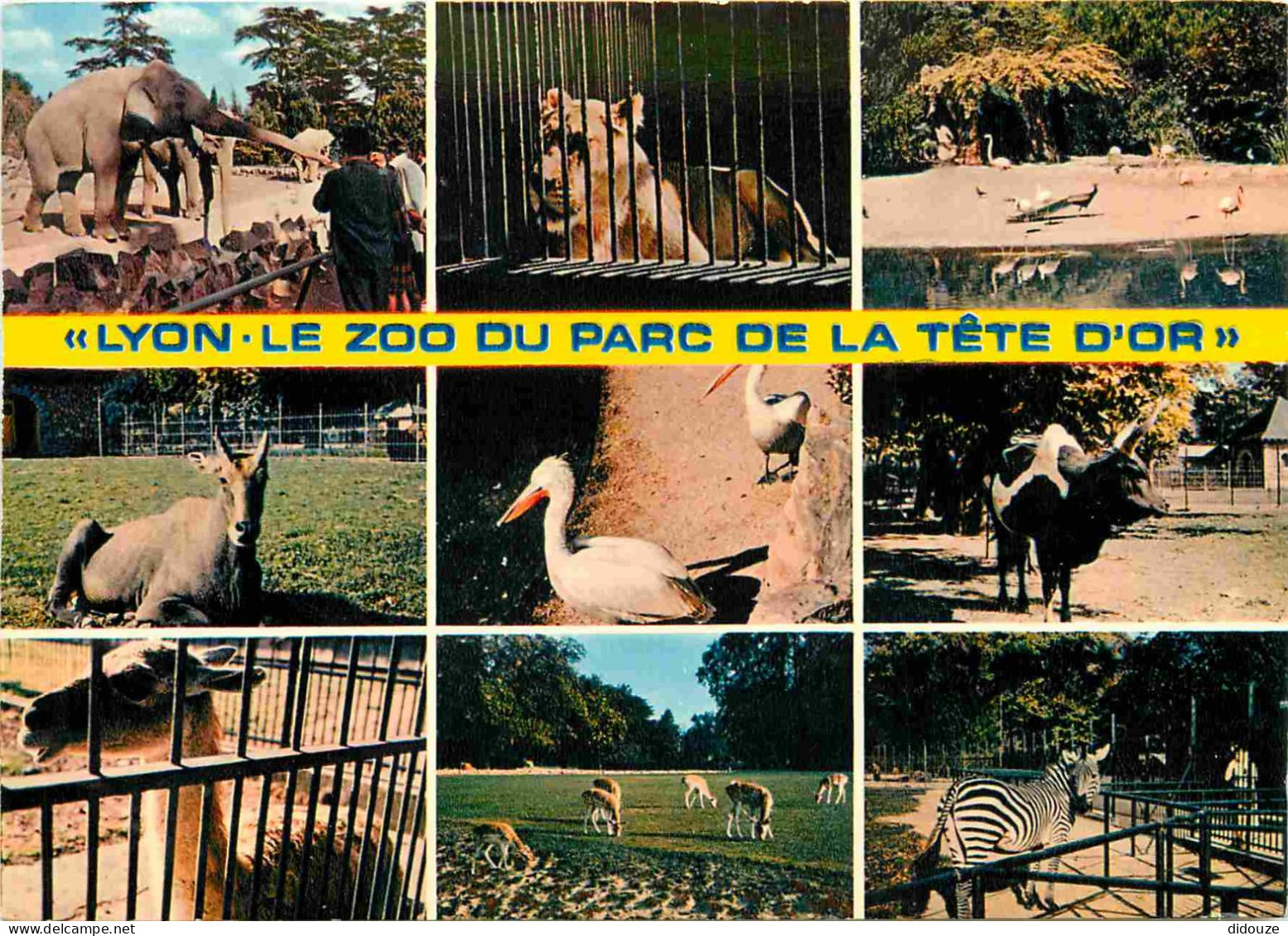 Animaux - Lyon - Parc De La Tête D'Or - Multivues - Zoo - CPM - Carte Neuve - Voir Scans Recto-Verso - Sonstige & Ohne Zuordnung