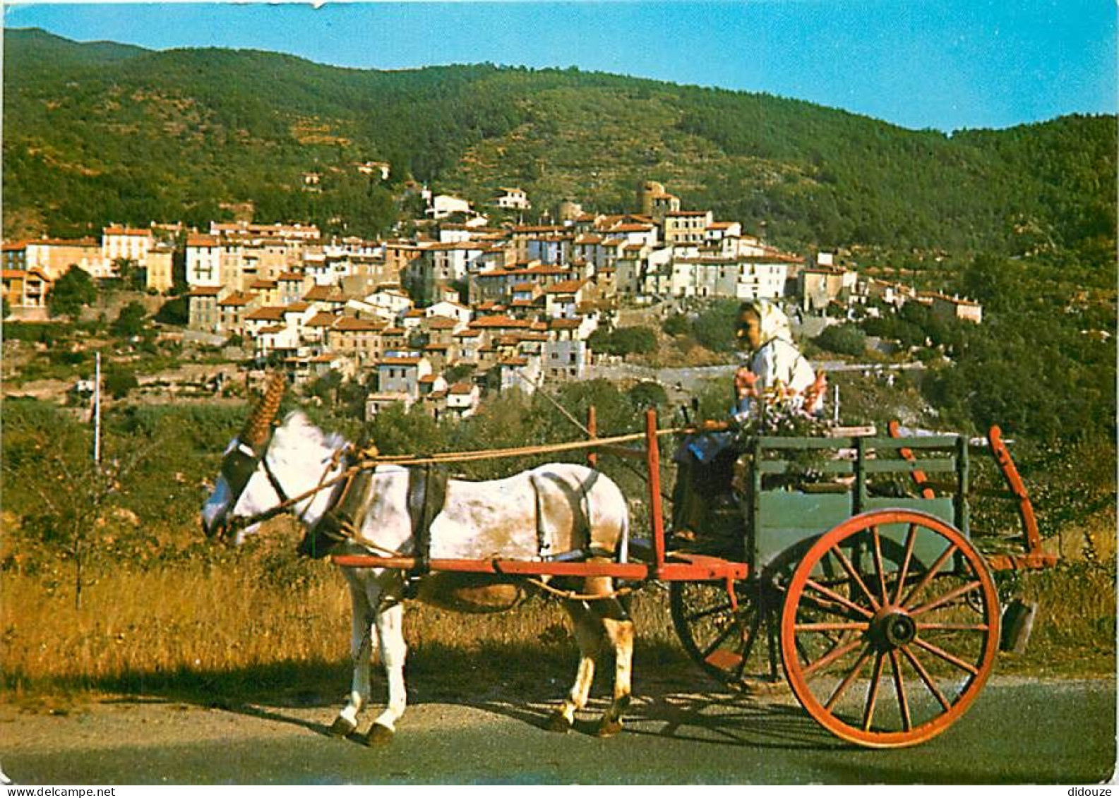 Animaux - Chevaux - CPM - Voir Scans Recto-Verso - Pferde