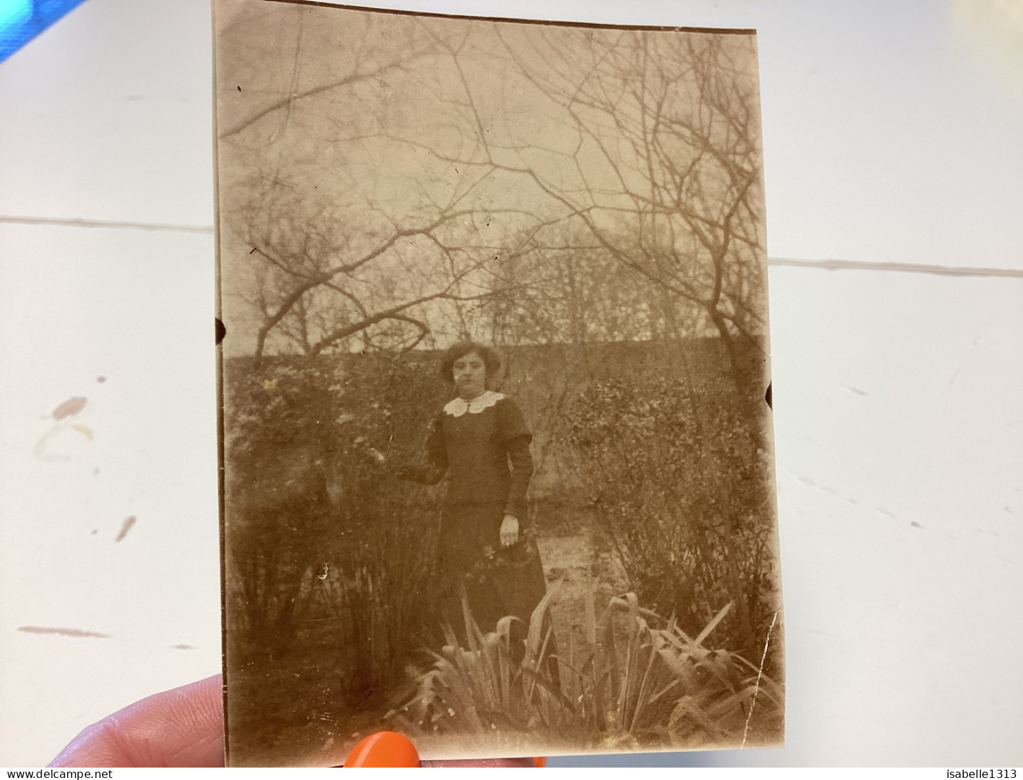 Photo  Snapshot 1900 BOURDON-LANCY Petite Fille Dans Le Jardin, Elle Tient Des Branches D’arbres Au Milieu Milieu Arbre - Anonymous Persons