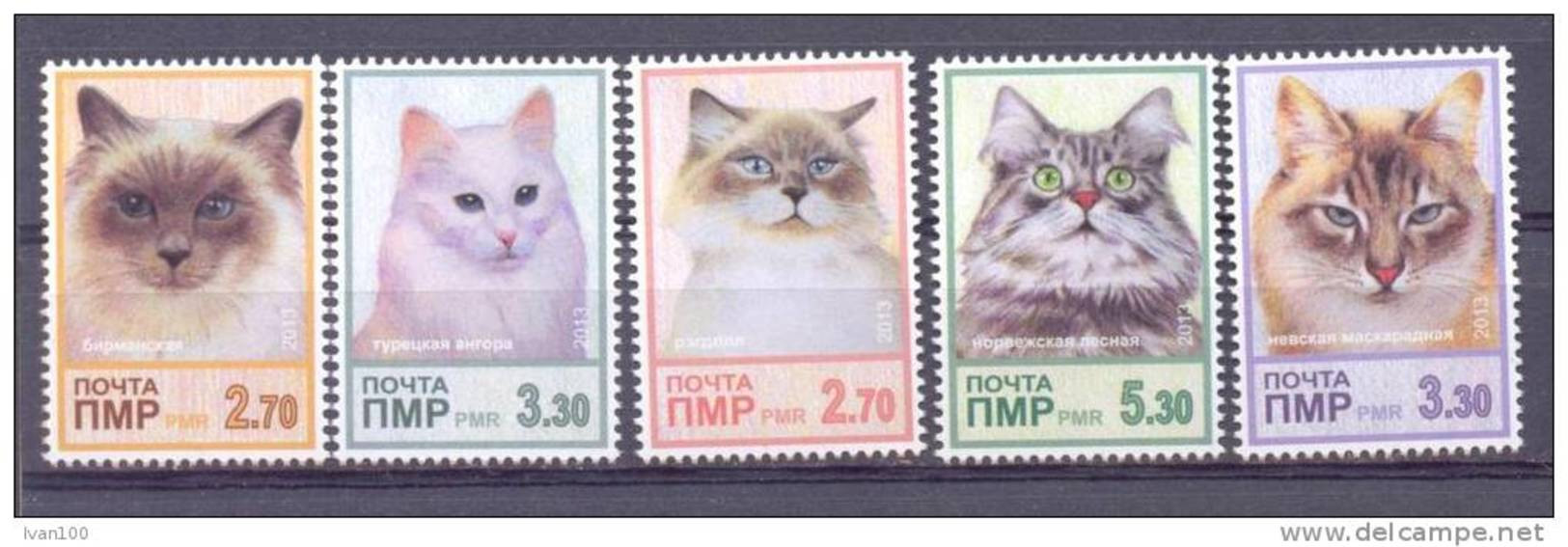 2013. Transnistria, Cats, Set Perforated, Mint/** - Moldavie
