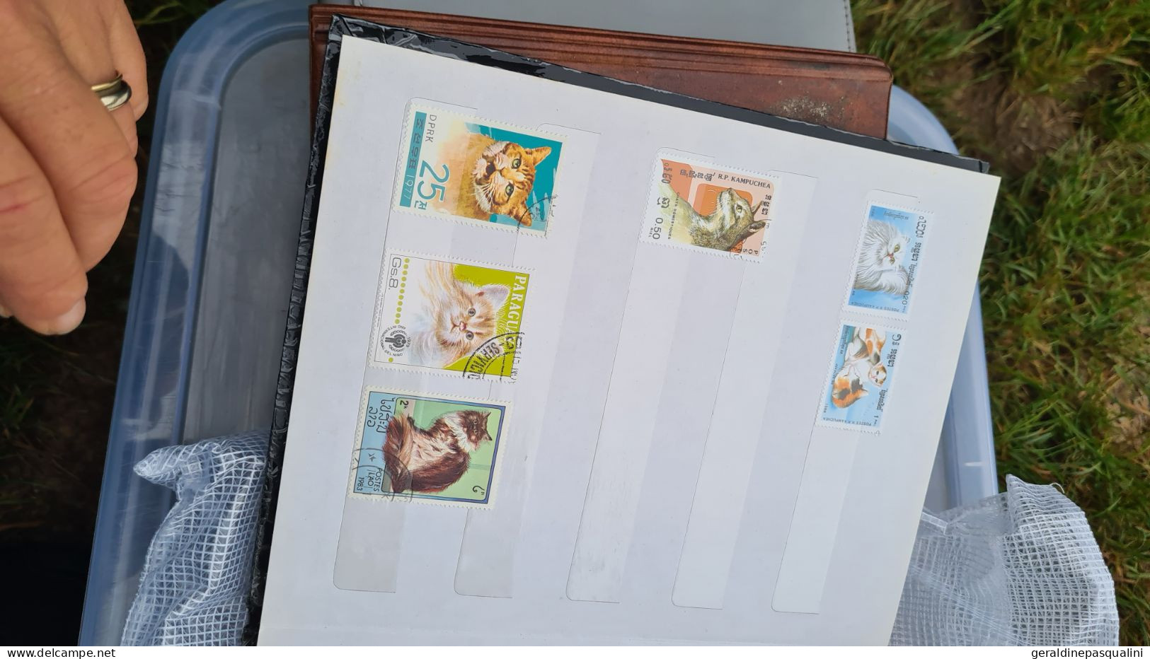 Gros lot de timbres en vrac et albums