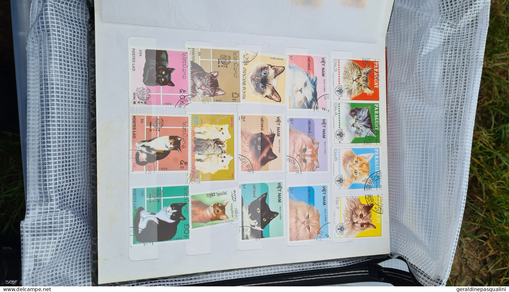 Gros lot de timbres en vrac et albums