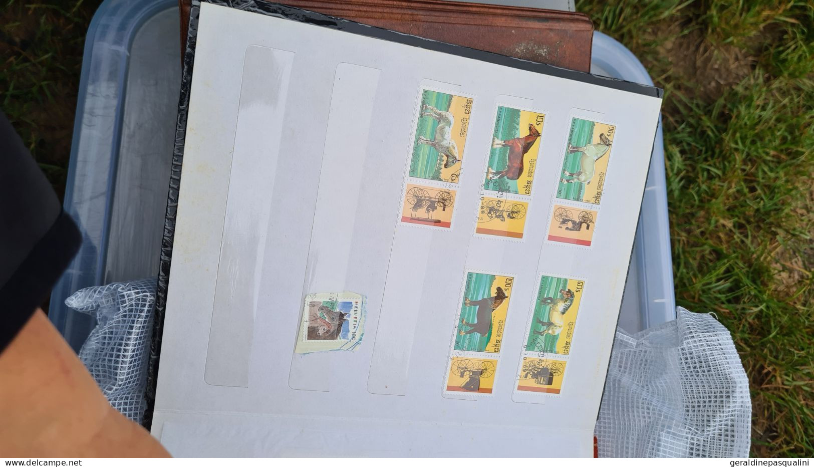 Gros lot de timbres en vrac et albums