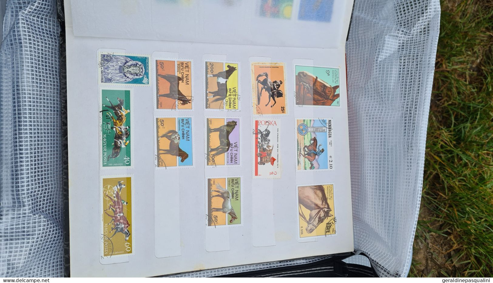 Gros lot de timbres en vrac et albums