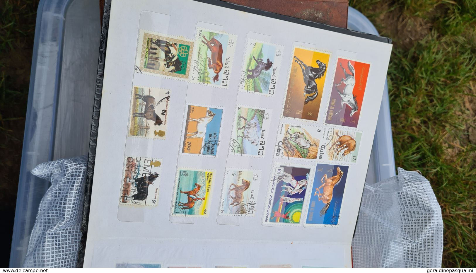 Gros lot de timbres en vrac et albums