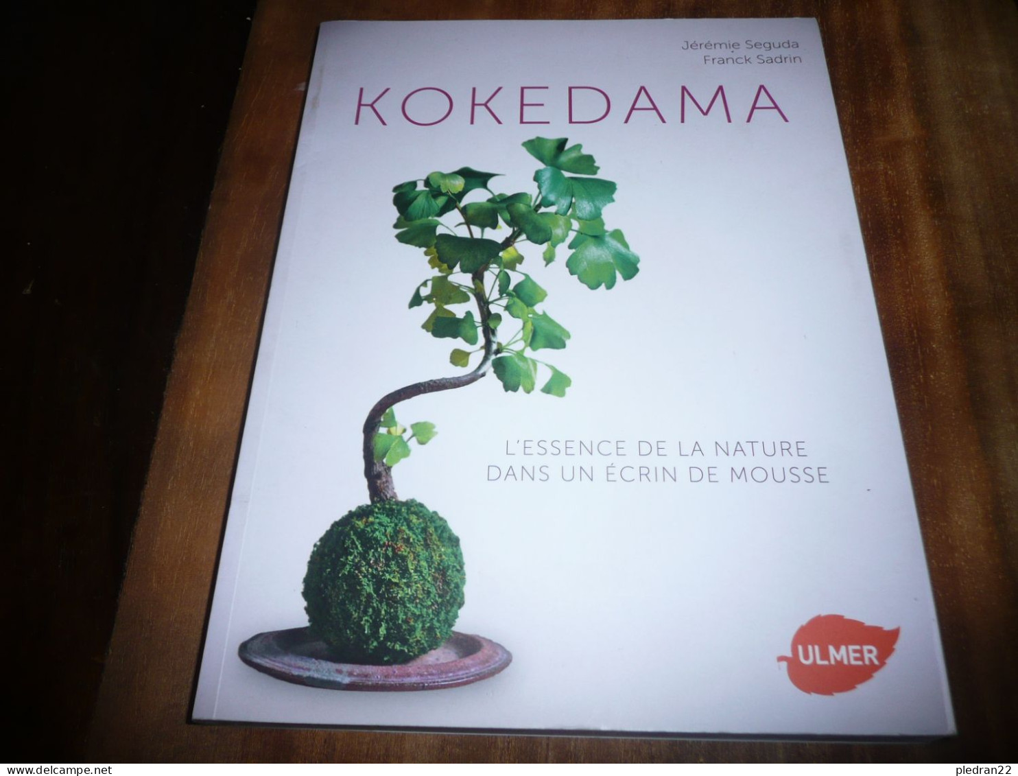 PLANTE BONSAI IKEBANA ART VEGETAL JAPON JEREMIE SEGUDA FRANCK SADRIN KOKEDAMA ECRIN DE MOUSSE 2016 - Tuinieren