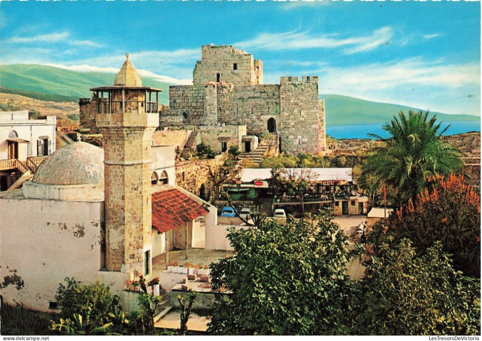 LIBAN - Byblos ( Jebail) - La Citadelle Et La Mosquée -  Colorisé - Carte Postale - Liban