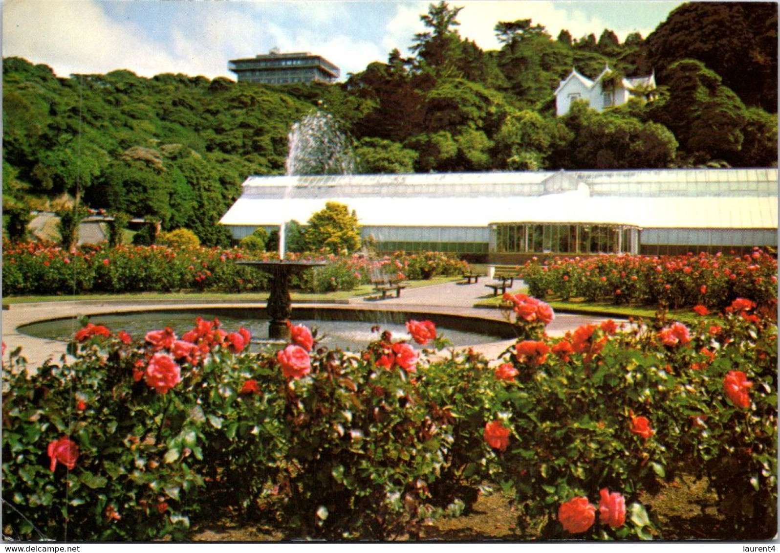 21-5-2024 (5 Z 45) New Zealand (posted To Australia 1983 With Shell Stamp) Wellington Botanical Gardens - Bloemen