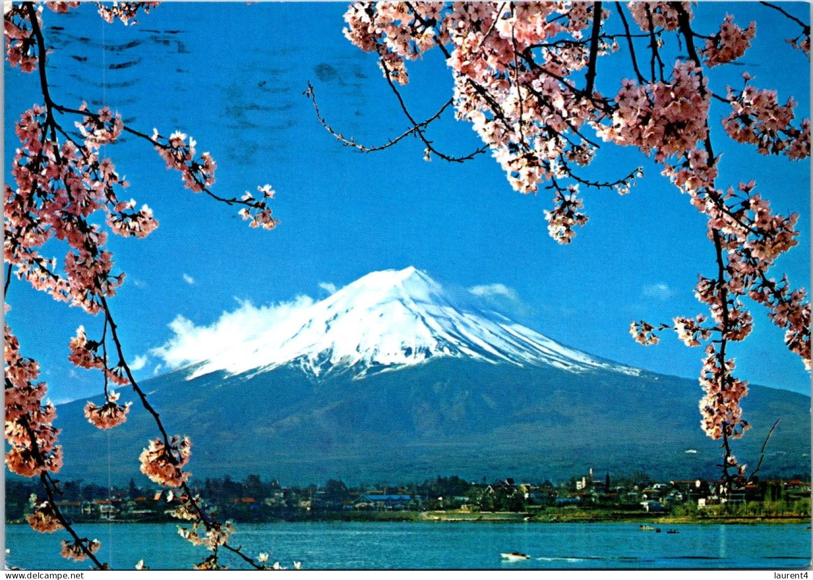 21-5-2024 (5 Z 45) Japan (posted To Australia From HONG KONG In 1983) UNESCO - Mt Fuji (and Blossom Trees) - Blumen