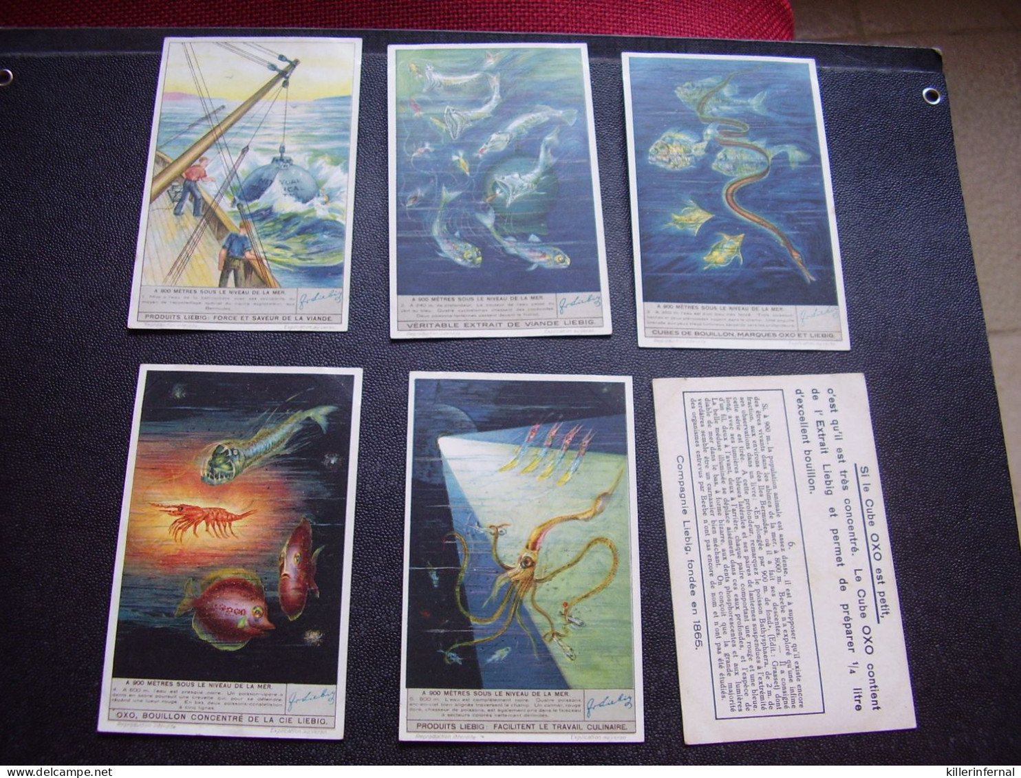 Original Old Cards Chromos Liebig S 1360 A 900 Mètres Sous Le Niveau De La Mer Complet - Liebig