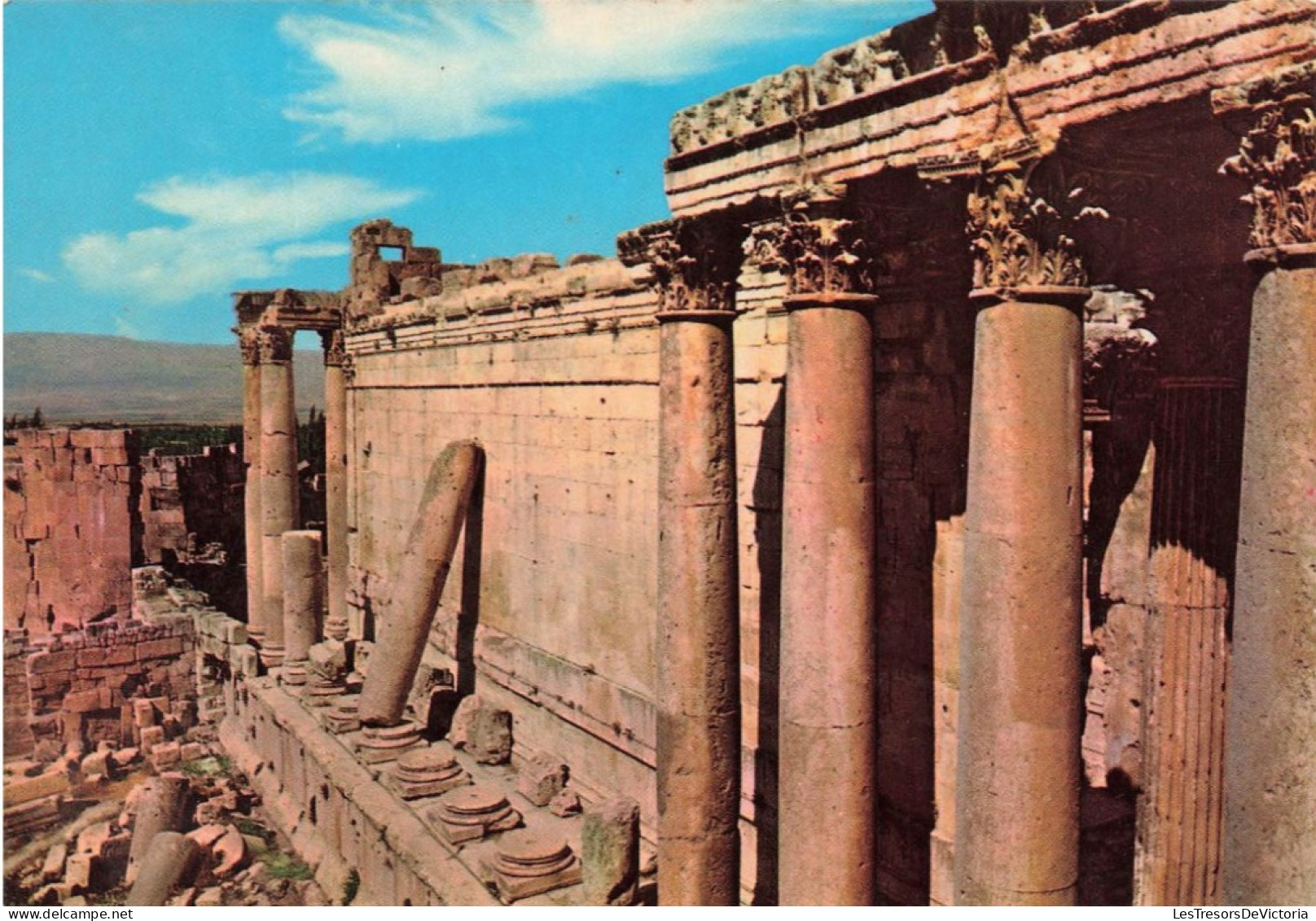 LIBAN - Baalbeck - La Colonne Penchée Du Temple De Bacchus - Colorisé - Carte Postale - Liban