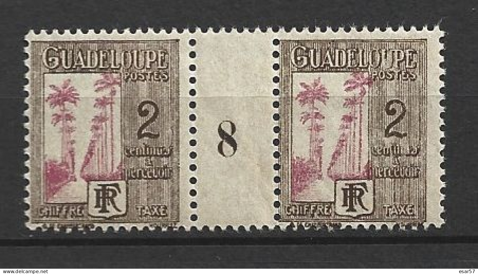 GUADELOUPE - MILLESIMES - TIMBRES-TAXE N°25  (1928) 2c - Ungebraucht