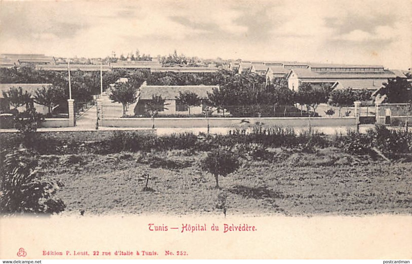 Tunisie - TUNIS - Hôpital Du Belvédère - Ed. P. Louit 252 - Tunesië