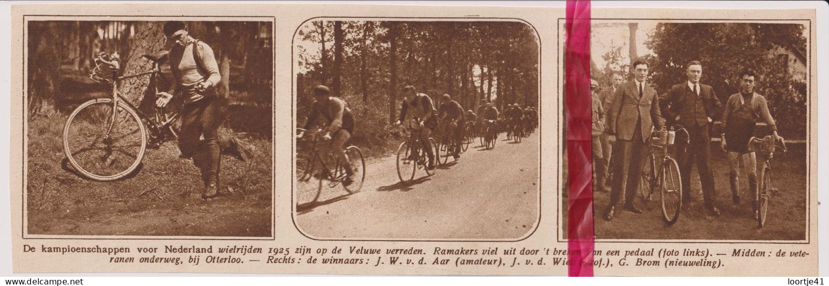 Wielrennen Koers Nederlands Kampioenschap Op De Veluwe - Orig. Knipsel Coupure Tijdschrift Magazine - 1925 - Ohne Zuordnung