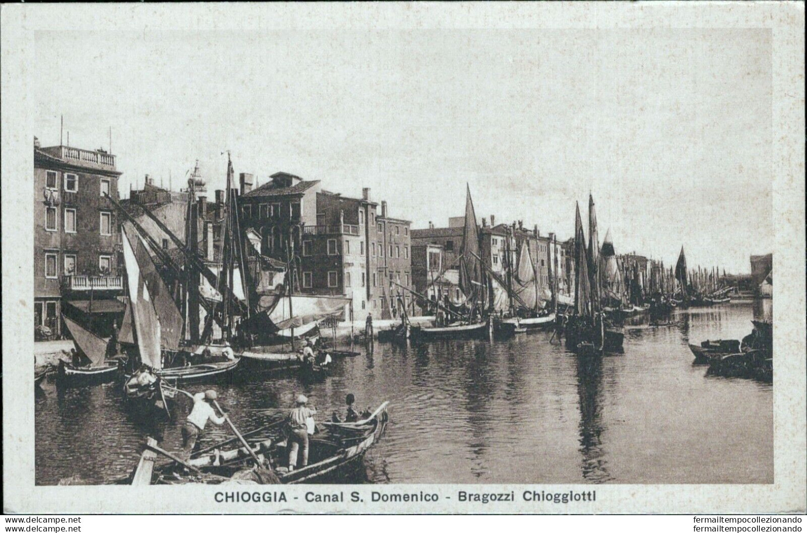 Bl479 Cartolina Chioggia Canal S.domenico Bragozzi Chioggiotti Venezia - Venezia (Venice)