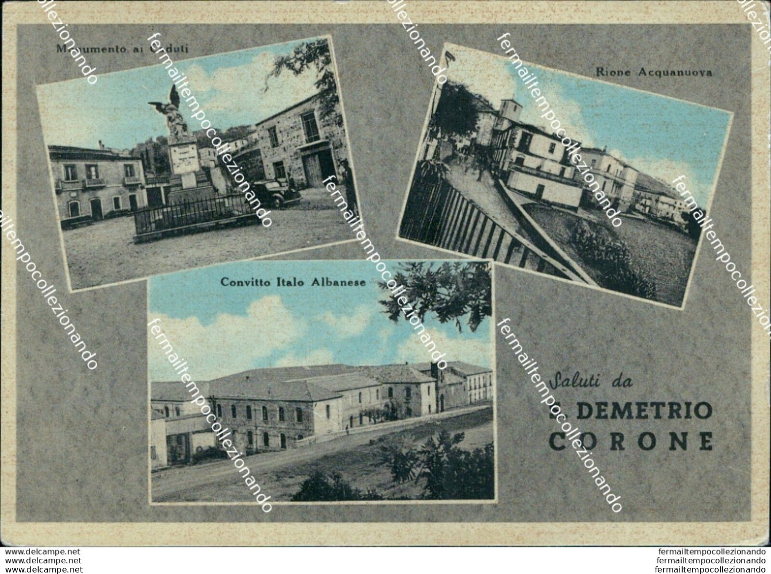 Az605 Cartolina Saluti Da S.demetrio Corone Provincia Di Cosenza - Cosenza