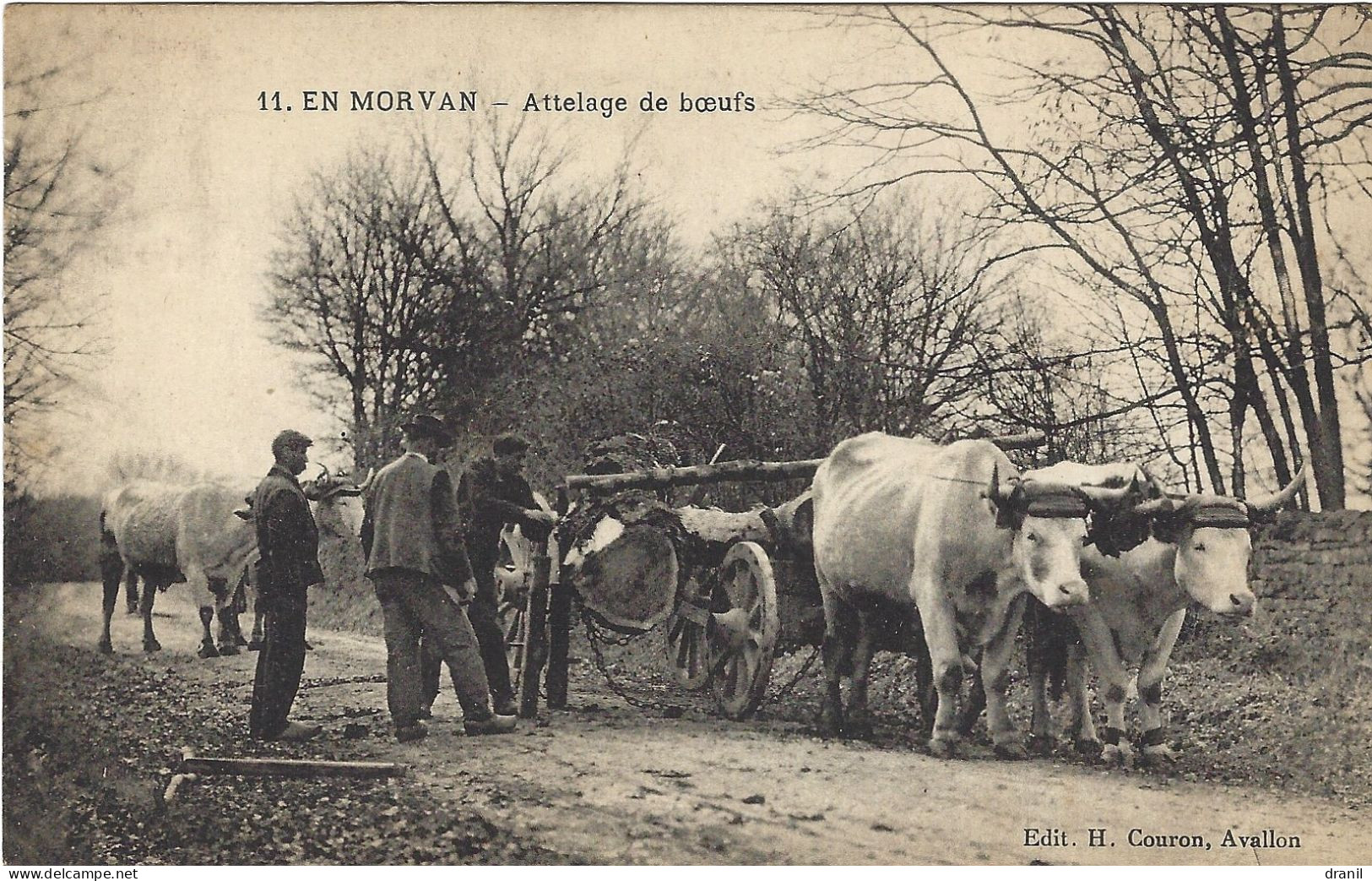 11 EN MORVAN - Attelage De Bœufs - Bourgogne