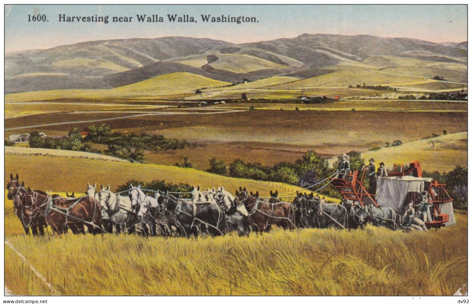 ETATS UNIS D AMERIQUE (USA) WASHINGTON HARVESTING NEAR WALLA WALLA - Sonstige & Ohne Zuordnung