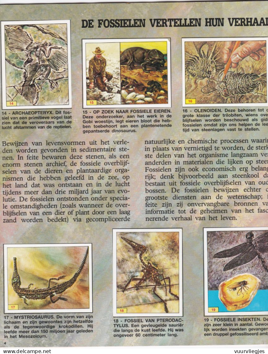 Prehistorische Dieren - 1992 Compleet - Edition Néerlandaise