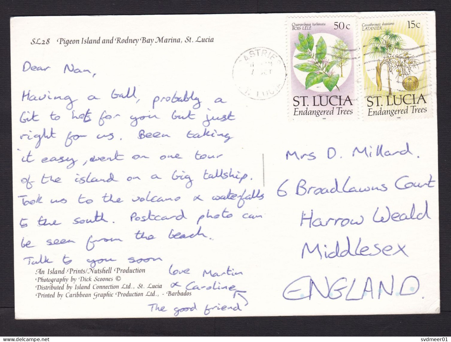 St Lucia: Picture Postcard To UK, 1990s, 2 Stamps, Endangered Trees, Tree Seed Leaf, Card: Pigeon Island (minor Creases) - St.Lucie (1979-...)