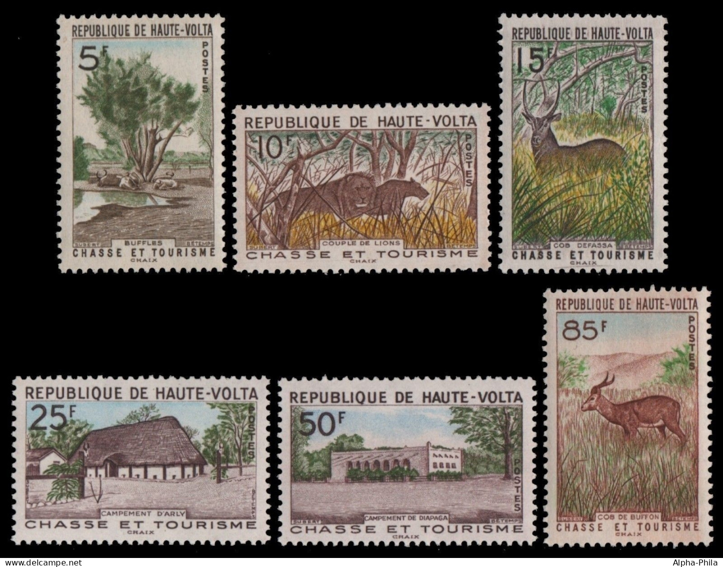 Obervolta 1962 - Mi-Nr. 102-107 ** - MNH - Wildtiere / Wild Animals - Haute-Volta (1958-1984)
