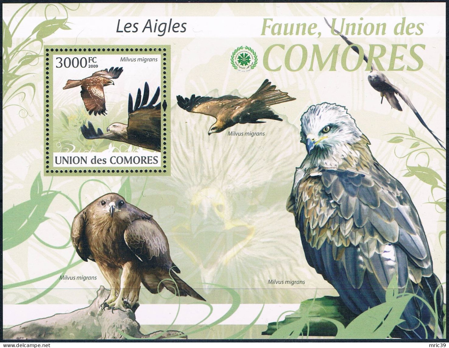 Bloc Sheet Oiseaux Rapaces Aigles Birds Of Prey Eagles Raptors   Neuf  MNH **   Comores 2009 - Aquile & Rapaci Diurni