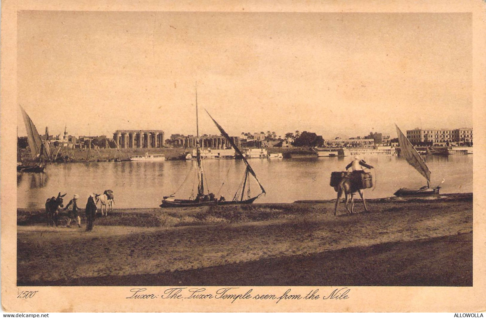 27048 " LUXOR-THE LUXOR TEMPLE SEEN FROM THE NILE " ANIMATED-VERA FOTO-CART. POST.NON SPED. - Israel